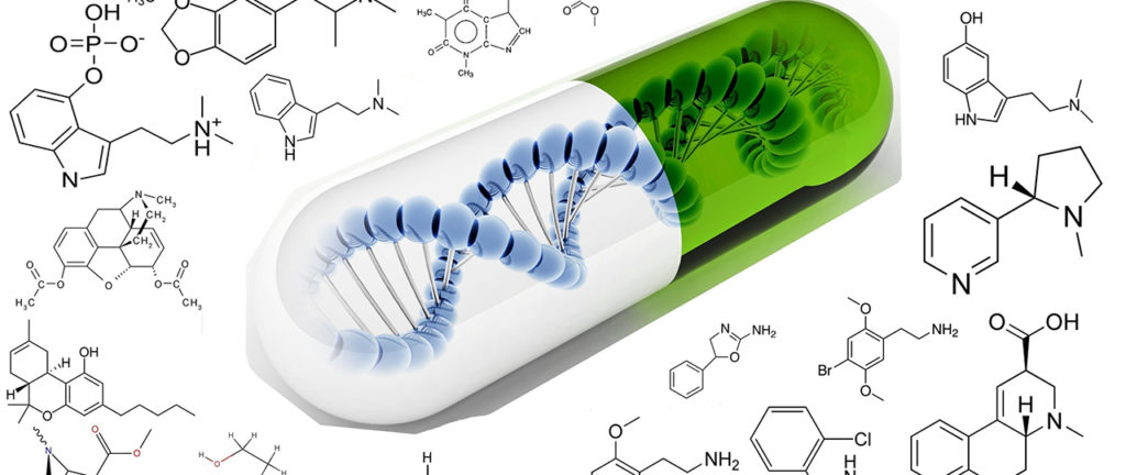 An exceptional interview with one of the most talented Albanian chemistry researchers. She has just successfully defended her doctoral thesis at Uppsala University, the oldest university in Sweden. Young, energetic, science-minded, explorative, innovative and a great fun to be with, Aleksandra will come to us in her Unfiltered mode with some of the most curious and overwhelming insights to share. Stay tuned for this interview! Coming soon here at brain talk!